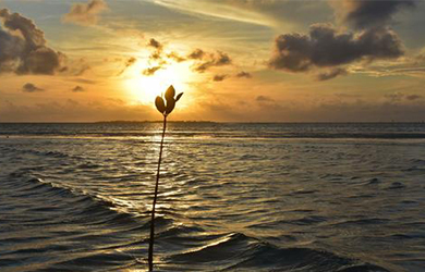 _픹\r½Y(ji)(gu)ӹ?