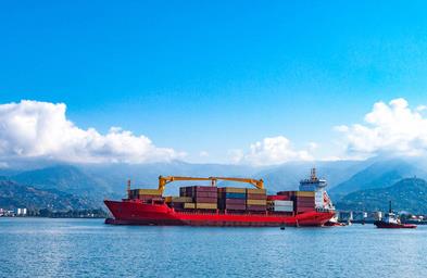 طN؛İl(f)չF(xin)ǰ䃞(yu)(sh)(zhn)