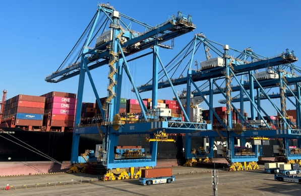 ؼb亣\(yn)İl(f)չƄȫQ(mo)׵ķs